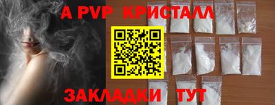 стаф Можга