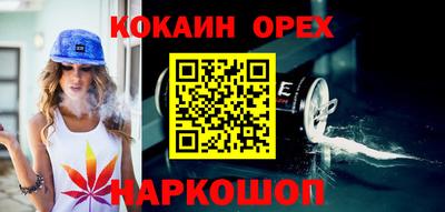 стаф Можга