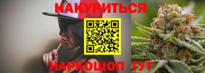 стаф Можга