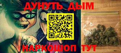 сатива Моздок