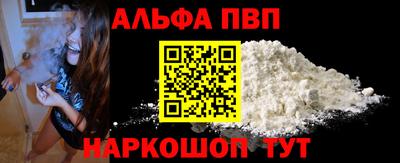 стаф Можга