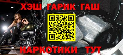 стаф Можга