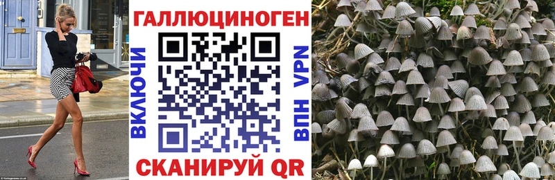 купить  сайты  маркетплейс телеграм  Псилоцибиновые грибы ЛСД  Ростов-на-Дону 