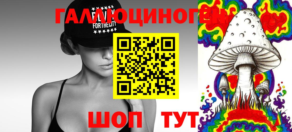 Псилоцибиновые грибы прущие грибы  Псилоцибиновые грибы мицелий  где купить наркоту  Ростов-на-Дону  Вход с VPN 