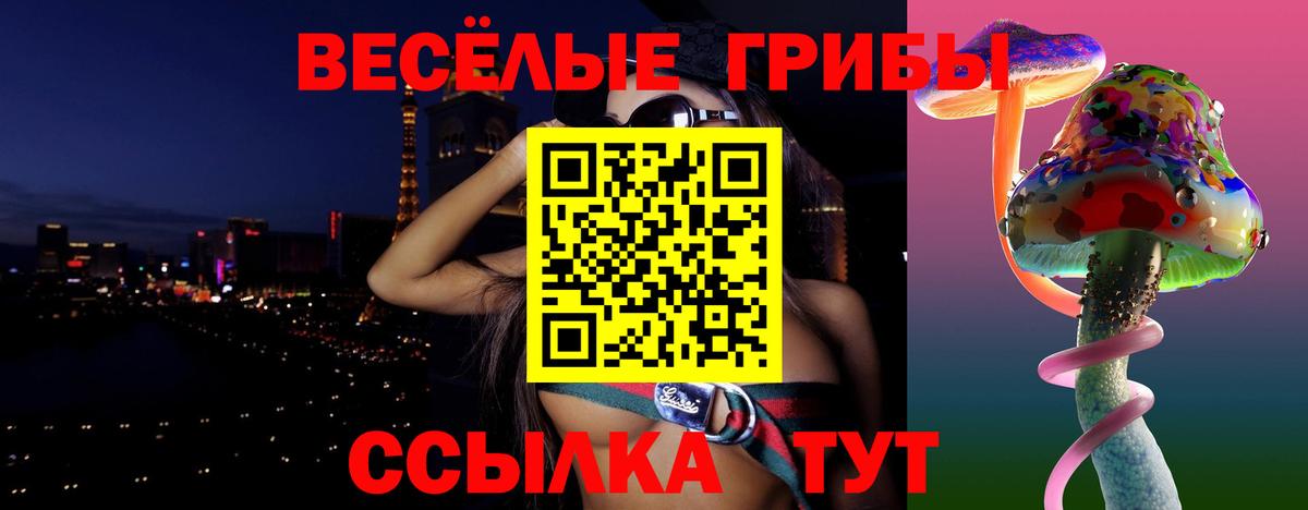 Галлюциногенные грибы Psilocybine cubensis Ростов-на-Дону